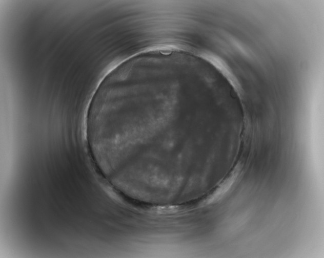 X0000094790858200711301605