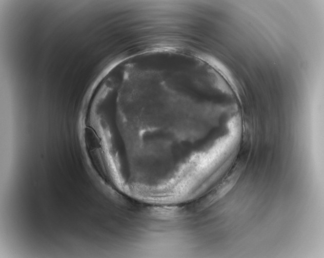 X0000094790859200711301605