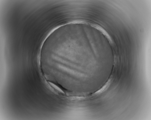 X0000094790860200711301605