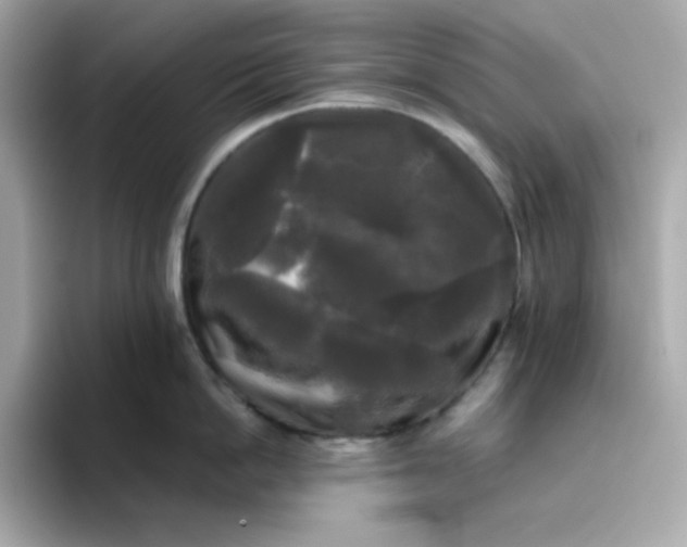 X0000094790862200711301605