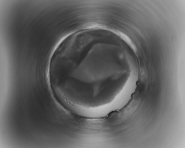 X0000094790863200711301605