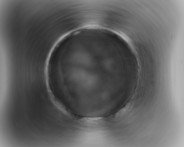 X0000094790864200711301605