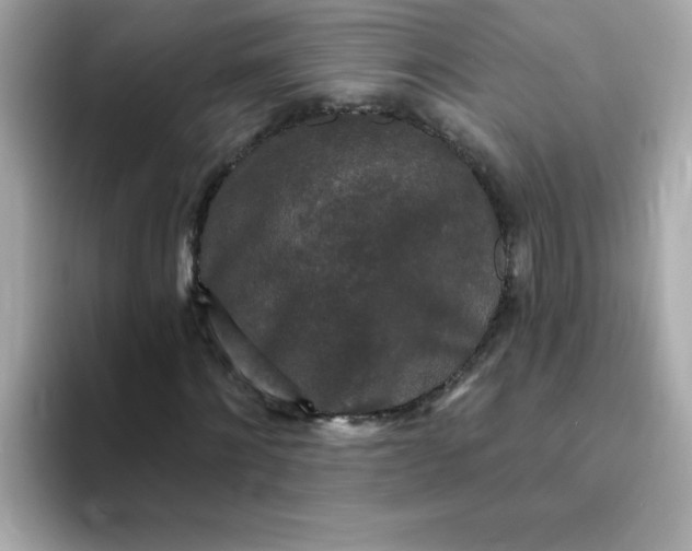 X0000094790868200711301604