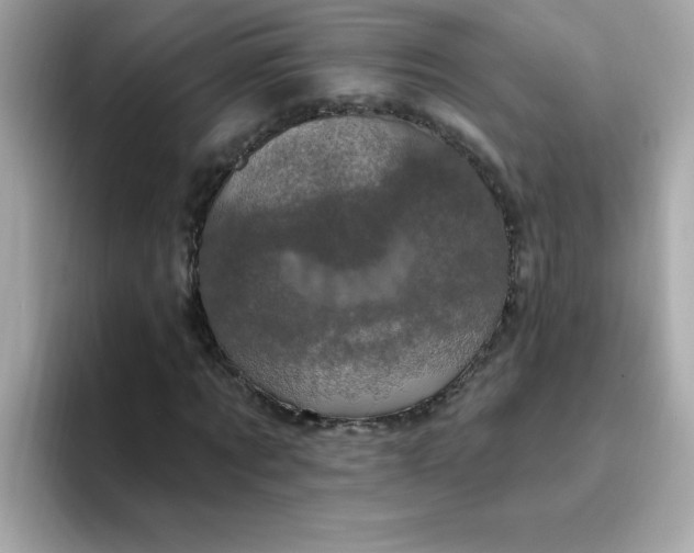 X0000094790869200711301604