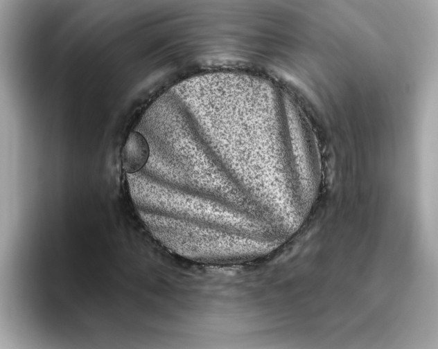 X0000094790870200711301604