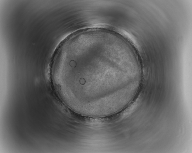 X0000094790875200711301604