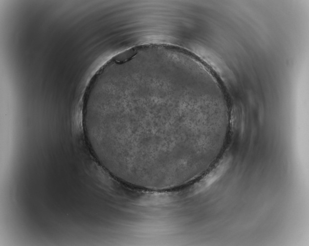 X0000094790877200711301604