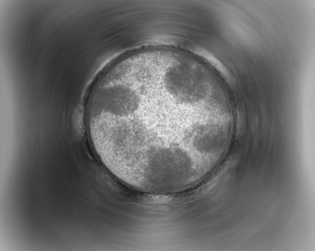 X0000094790878200711301604