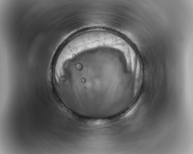 X0000094790879200711301604