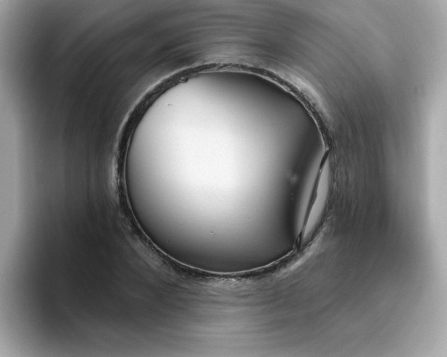 X0000094790880200711301604