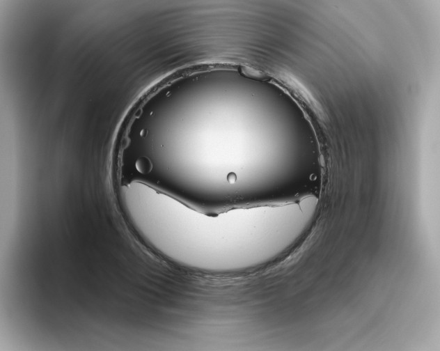 X0000094790884200711301604