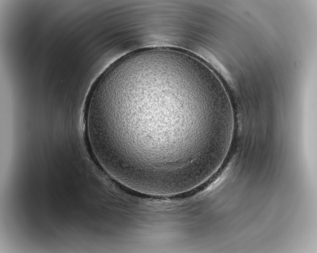 X0000094790885200711301604