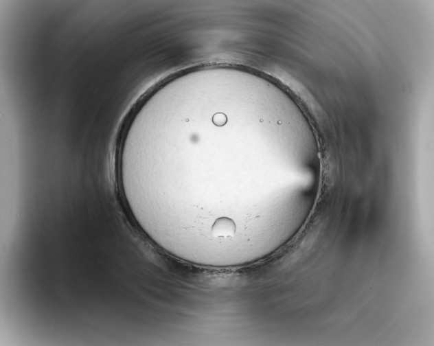 X0000094790886200711301604