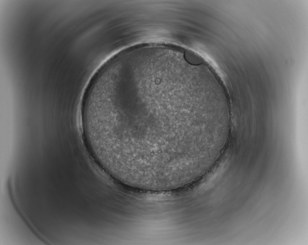 X0000094790887200711301604