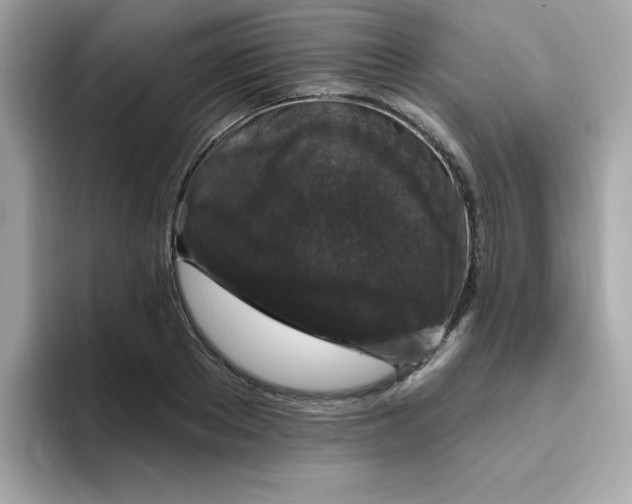 X0000094790889200711301604