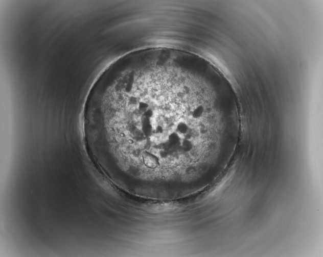 X0000094790891200711301604