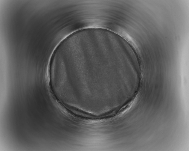 X0000094790892200711301604