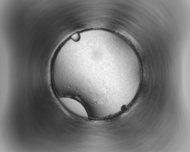 X0000094790894200711301604