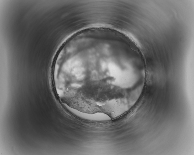 X0000094790895200711301604