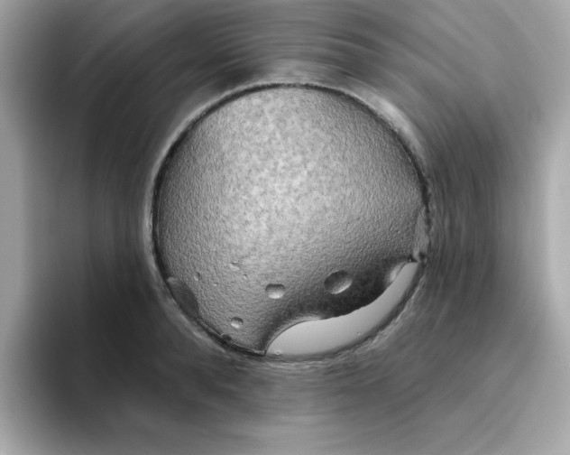 X0000094790896200711301604