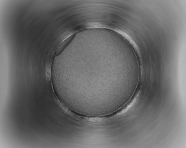 X0000094790897200711301604