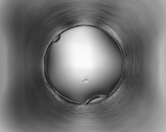 X0000094790898200711301604