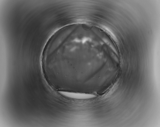 X0000094790899200711301604