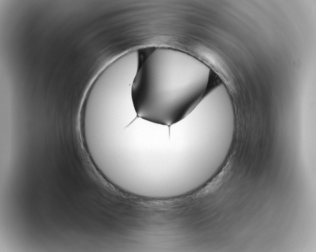 X0000094790900200711301604