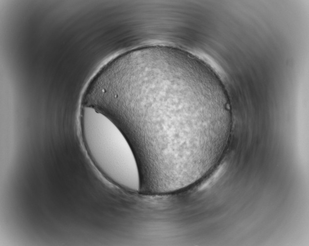 X0000094790902200711301604