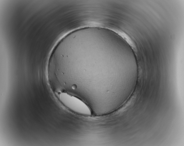 X0000094790904200711301604