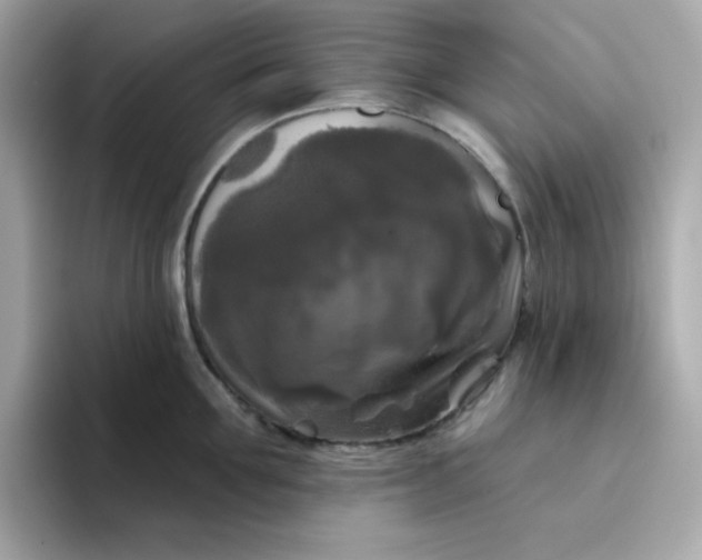 X0000094790907200711301604