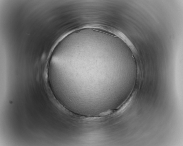 X0000094790908200711301604