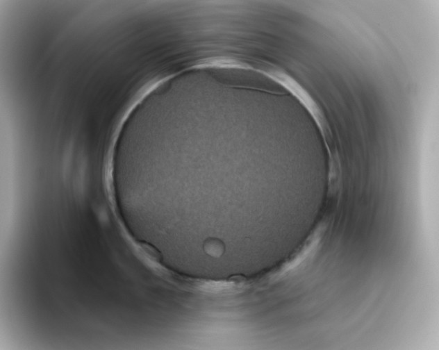 X0000094790909200711301604