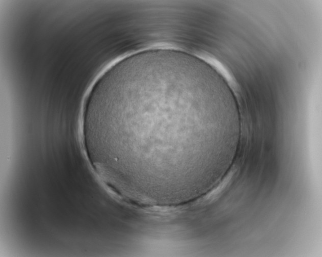 X0000094790910200711301604