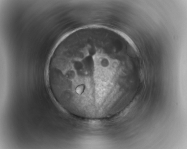 X0000094790911200711301604