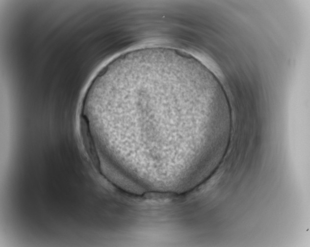 X0000094790912200711301604