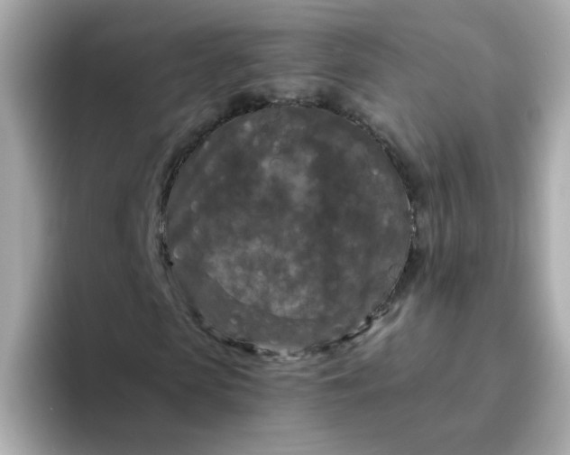 X0000094790913200711301603