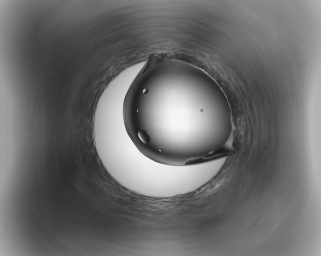 X0000094790916200711301603