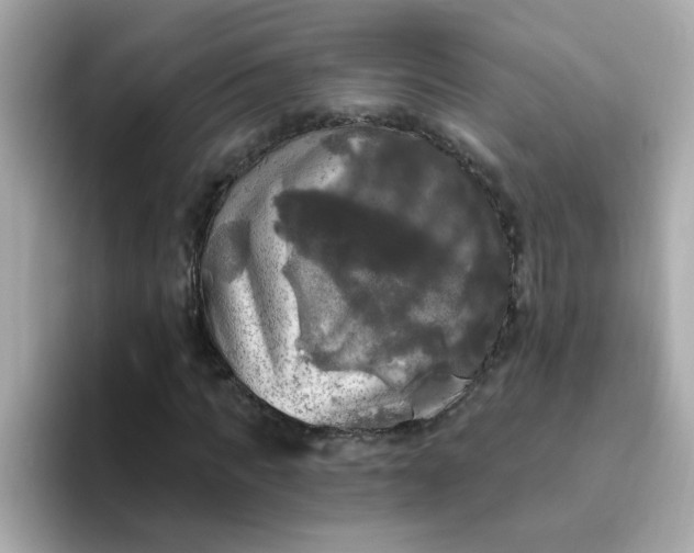 X0000094790917200711301603