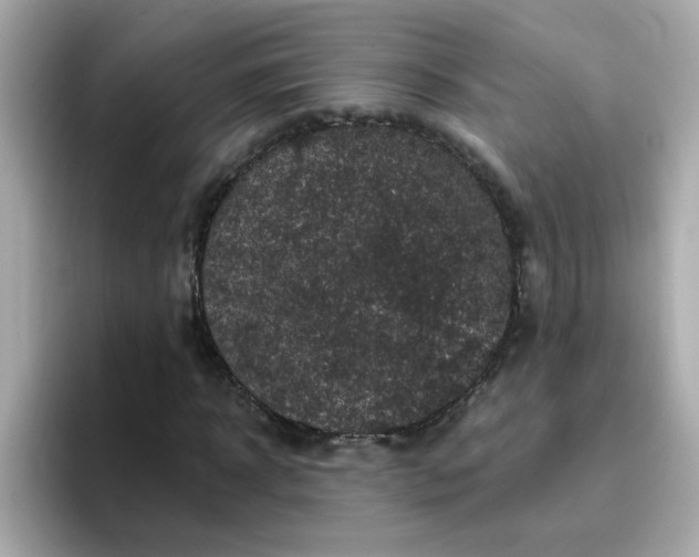 X0000094790918200711301603