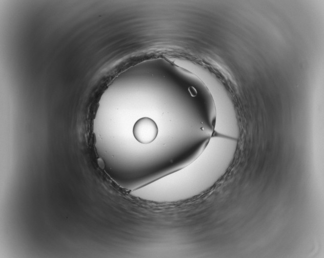 X0000094790920200711301603