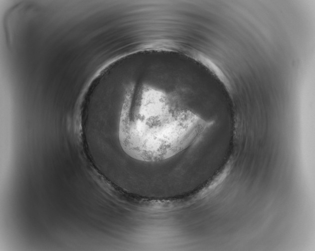 X0000094790923200711301603