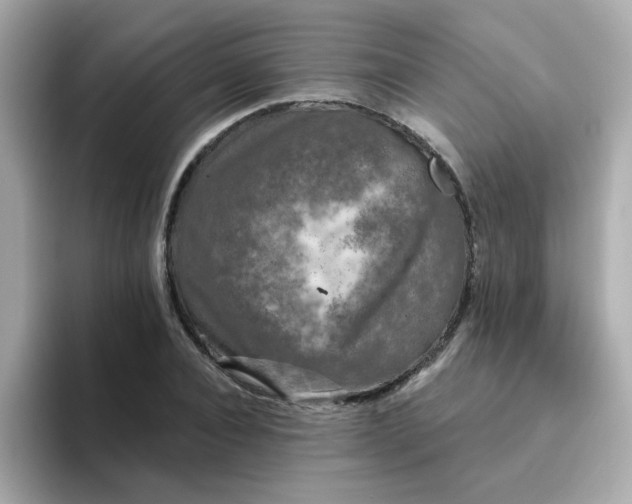 X0000094790928200711301603