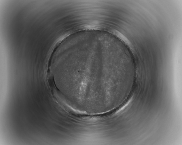 X0000094790930200711301603