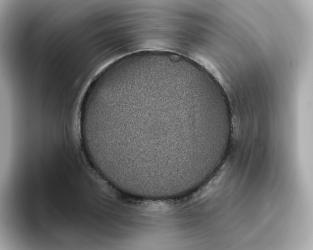 X0000094790931200711301603