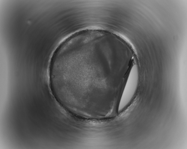 X0000094790935200711301603