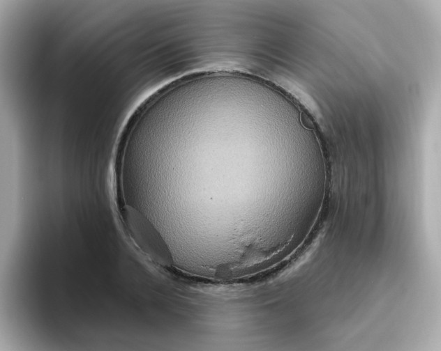 X0000094790936200711301603