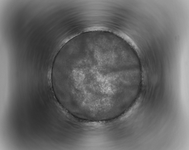 X0000094790937200711301603