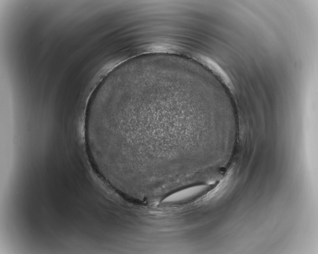 X0000094790938200711301603