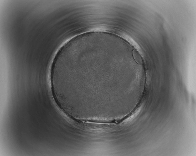 X0000094790939200711301603